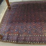 564 4556 ORIENTAL CARPET